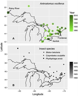 Stable Isotopes from Museum Specimens May Provide Evidence of Long-Term Change in the Trophic Ecology of a Migratory Aerial Insectivore